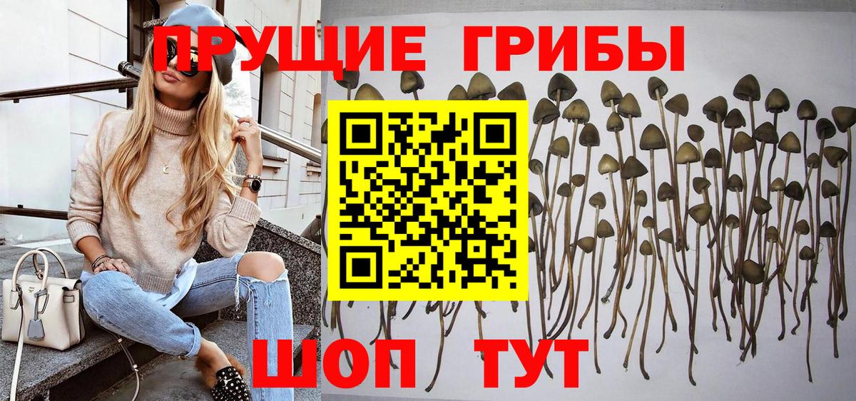 Тобольск  Псилоцибиновые грибы мухоморы  Вход с VPN 