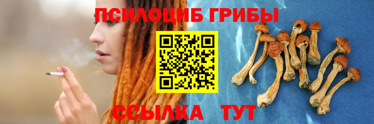 Галлюциногенные грибы MAGIC MUSHROOMS Тобольск